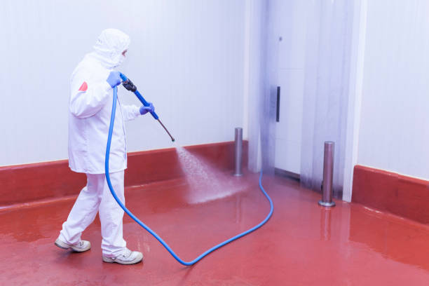 Best Sidewalk and Walkway Cleaning  in Ralls, TX